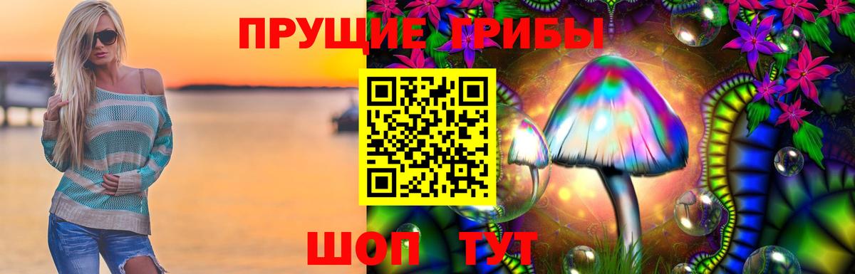Галлюциногенные грибы Psilocybe  Вход с VPN  Углич 